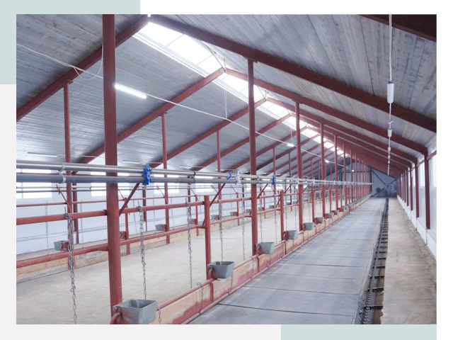 Строительство коровников в Городце от 607 руб.