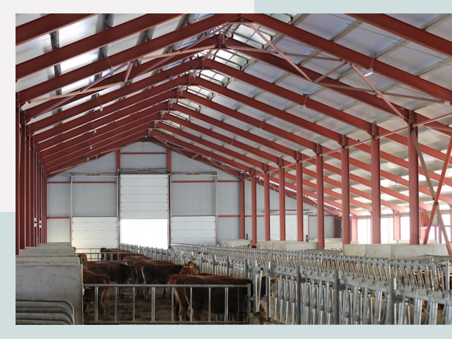 Строительство коровников в Городце