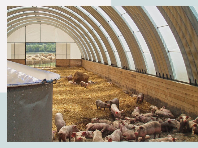 Строительство свинарников в Городце